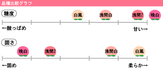 品種比較グラフ