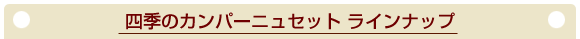 lG̃Jp[jZbg Cibv
