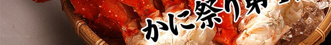 ɂӂ낢o ɍՂSeI