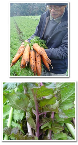 �����Ă��܂��^���ɂ�������؂������A�Ȃ�Ƃ������ցc�B�l�X�Ȑl���肳�񎩐g�̋����z�����A��肳��̌����͂ƂȂ��āA��؂����̖��𖢗��֌q���܂��B