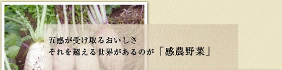 �܊��Ŏ󂯎�邨������ ����𒴂��鐢�E������̂��u���_��؁v