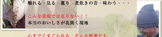 �G���E����E�O��E�ϐ����̉��E���키�c ����ȕ\���ł͑���Ȃ��I�@�{���̂����������ԊJ�����n