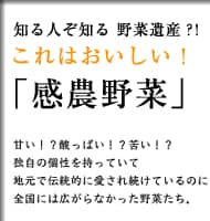 �Â��I�H�_���ς��I�H�ꂢ�I�H
�Ǝ��̌��������Ă��āA�n���œ`���I�Ɉ����ꑱ���Ă��A�S���ɂ͍L����Ȃ�������؂����B