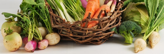 ����100�Z�b�g �����܂����I���ʂ� �������� �u���_��؁v 