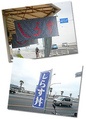 �n���ł̓V���X�����̐��X�i�I�j������������܂���