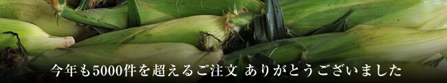 今年も5000件を超えるご注文 ありがとうございました