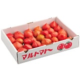 ���͂����̗l�q