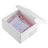 ���͂����̗l�q