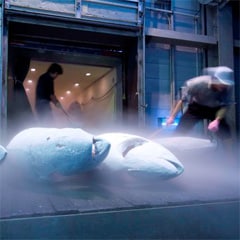 �L���Ȃ����i�����񂩂���w�����������A���c���񂪉����}�O��