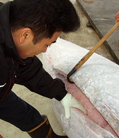 �^���Ȋ፷���ŁA���X�ڗ����Ɏ��g�މ��c����