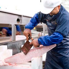 �v�������ɂ߂āA�H�ׂ₷����ɃJ�b�g���Ă��͂����܂�