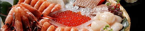 �N�����ʊ�� �ǂǁ[��Ɩ�2.1kg�g�k�C�����C�N�h�g�Z�b�g�h���Y�n�����I