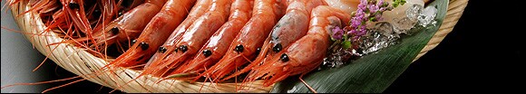 �N�����ʊ�� �ǂǁ[��Ɩ�2.1kg�g�k�C�����C�N�h�g�Z�b�g�h���Y�n�����I