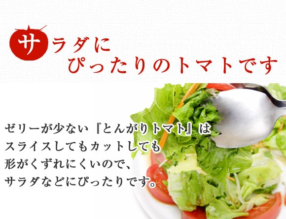 �T���_�ɂ҂�����̃g�}�g�ł�