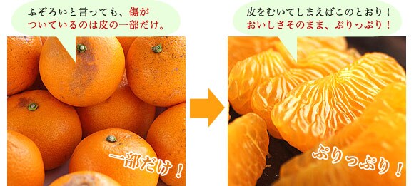 xQ̂iI