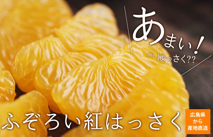 Lgӂ낢g͂hYnI