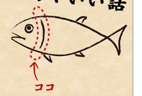 マグロのカマちょっといい話