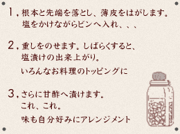 傤̊ȒPȍ