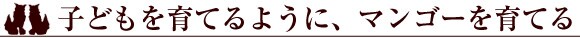 qǂĂ悤ɁA}S[Ă