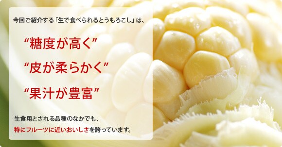 t[cɋ߂