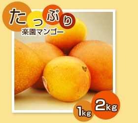 ӂ낢y}S[    ` vhɂ̓R