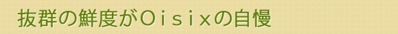 Q̑Nxn̎