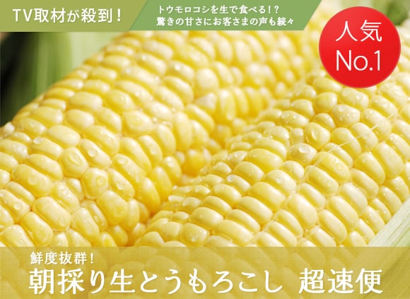 ̂萶Ƃ낱@ւYnI
