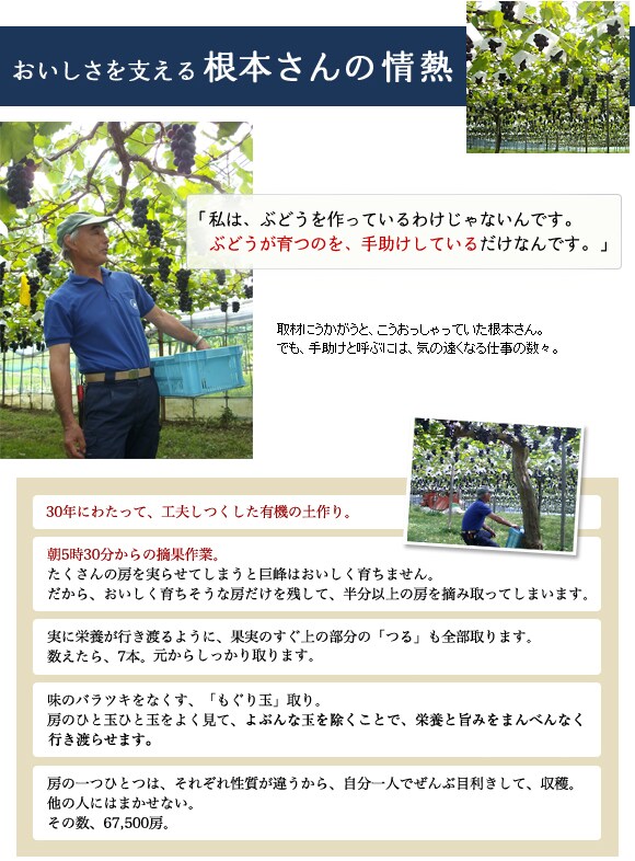 おいしさを支える根本さんの情熱