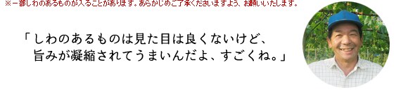 ※一部しわのあるものが入ることがあります。あらかじめご了承くださいますよう、お願いいたします。 しわのあるものは見た目は良くないけど、旨みが凝縮されてうまいんだよ、すごくね。(飯塚さん)