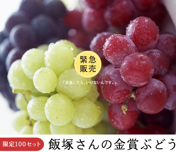 長野県から“飯塚さんの金賞ぶどう”頒布会(全3回)”を産地直送!