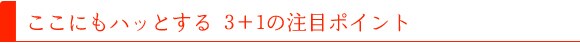 ここにもハッとする 3+1の注目ポイント