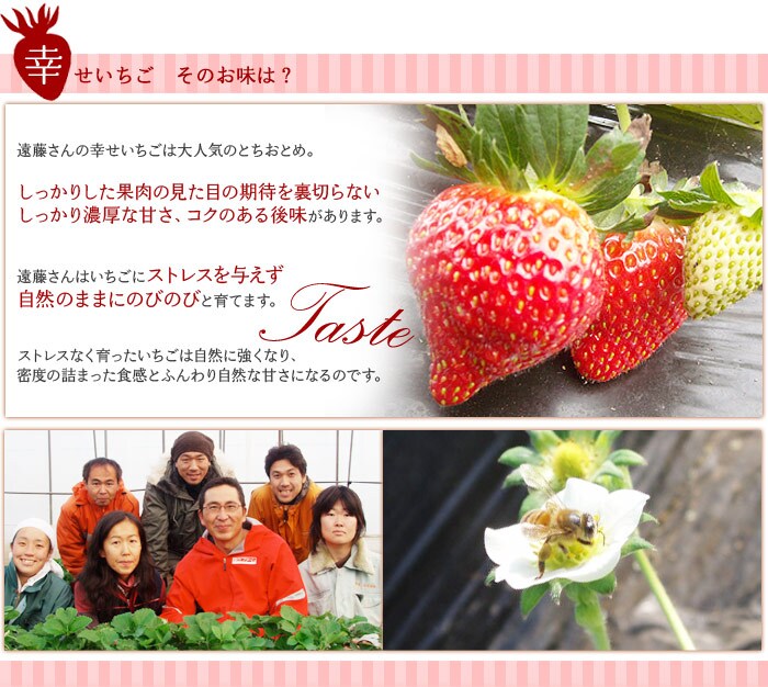 遠藤さんの幸せいちご ｜ Oisix産直おとりよせ市場