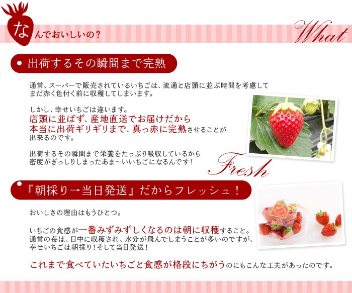 遠藤さんの幸せいちご ｜ Oisix産直おとりよせ市場