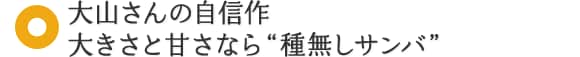 大山さんの自信作 大きさと甘さなら“種無しサンバ”
