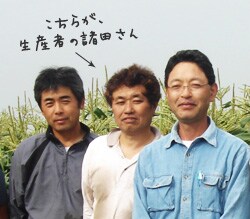 c摜