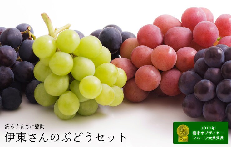 山梨県から“伊東さんのぶどうセット”を産地直送!