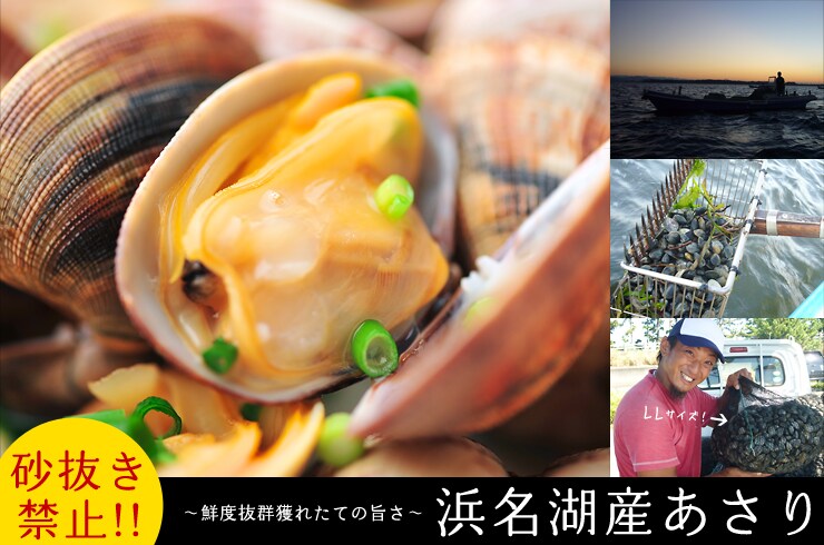 静岡県から“浜名湖産あさりLサイズ/LLサイズ”を産地直送!