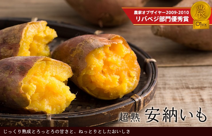 ӂ낢n[