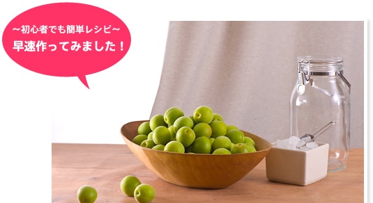 アルコール濃度、味の濃さ、自分好みの梅酒作り!