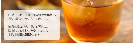 アルコール濃度、味の濃さ、自分好みの梅酒作り!