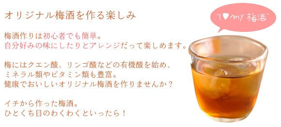 オリジナル梅酒を作る楽しみ