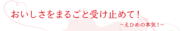 ܂邲Ǝ󂯎~߂āI`Ђ߂̖{CI`