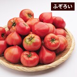 わけあり高糖度トマト(約2kg)