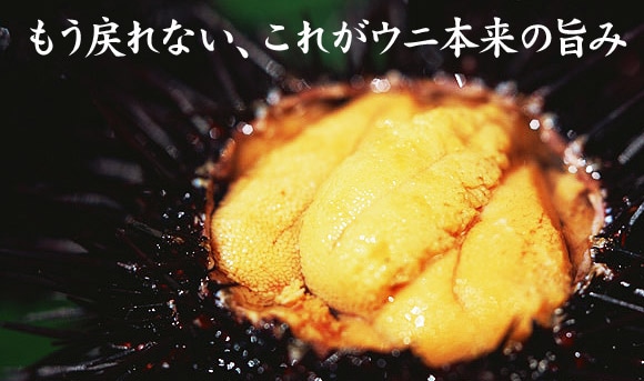 ߂ȂAꂪEj{̎|