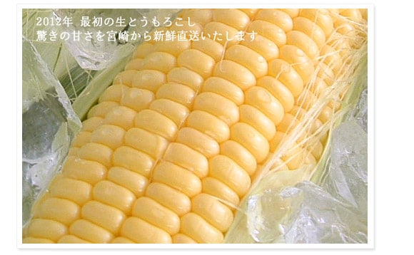 2012N ŏ̐Ƃ낱 ̊Â{肩VN܂
