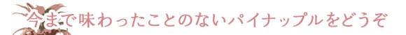 ܂ŖƂ̂ȂpCibvǂ