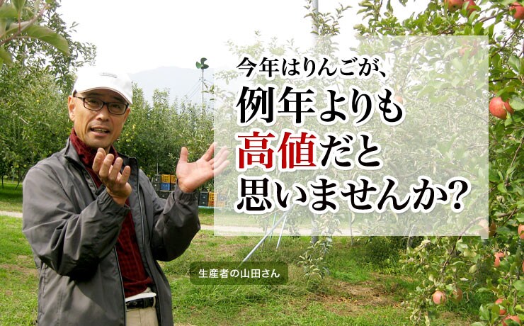 今年はりんごが、例年よりも高値だと思いませんか?