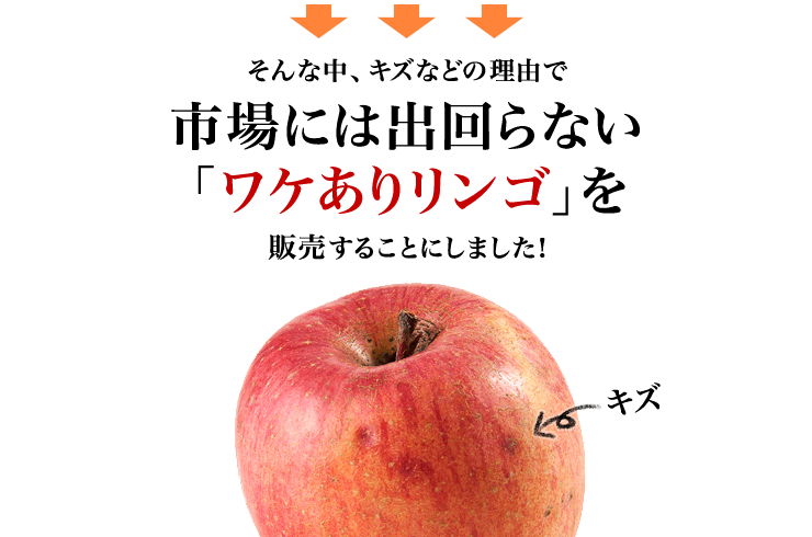 そんな中、傷などの理由で市場には出回らない「ワケありリンゴ」をごちまるで販売することにしました!