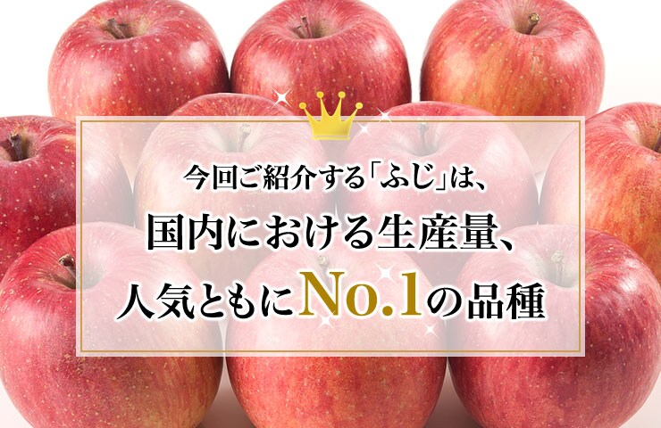 今回ご紹介する「ふじ」は、国内における生産量、人気ともにNo.1の品種