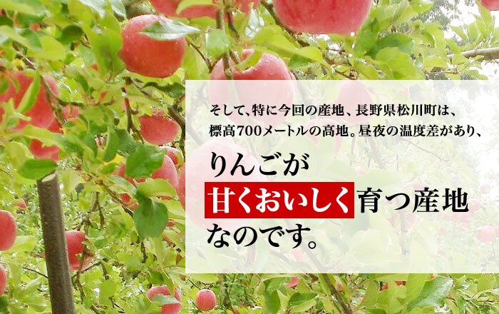 そして、特に今回の産地、長野県松川町は、標高700メートルの高地で、昼夜の温度差があり、りんごが、甘くて美味しく育つ産地なのです。